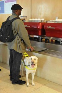 Guide_Dogs_233