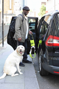 Guide_Dogs_315